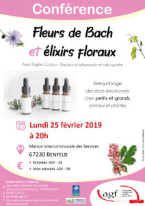 Fleurs de Bach et élixirs floraux