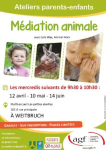 Médiation animale