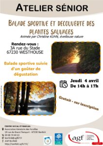 Atelier sénior balade sportive et découverte des plantes sauvages