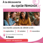 À la découverte du cycle féminin